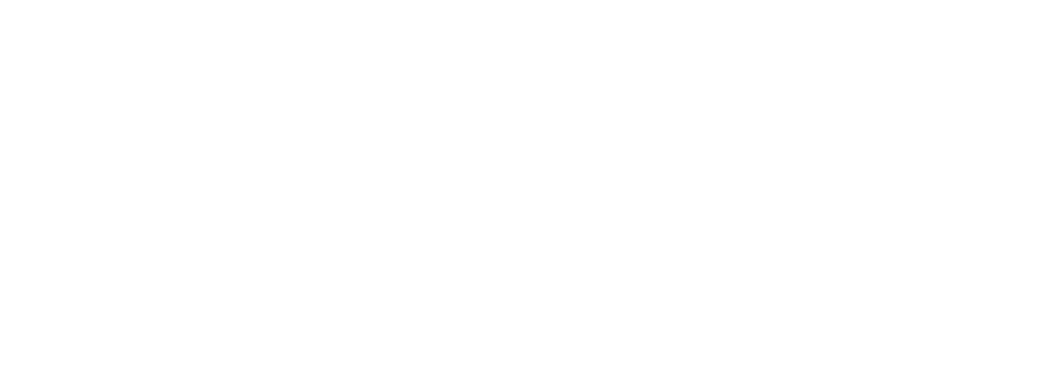 vkn-logo-light